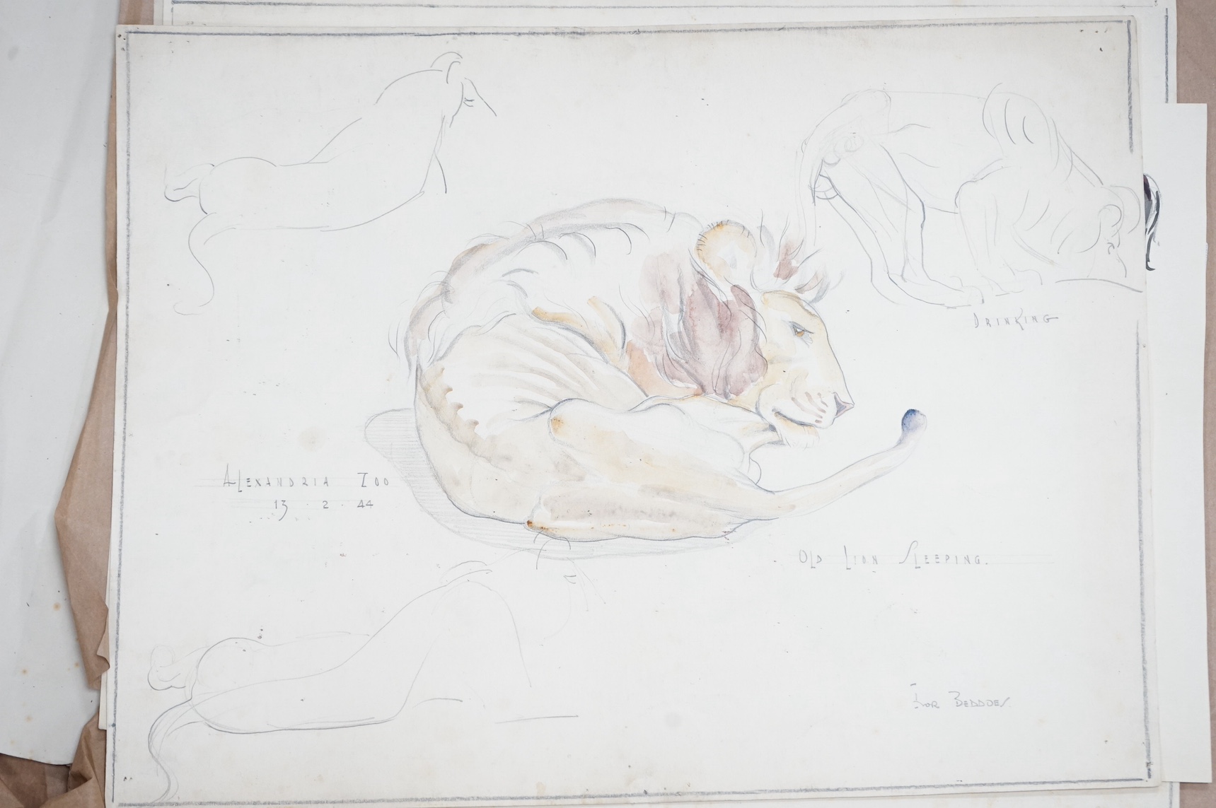 Ivor Beddoes (1909-1981), a folio of works to include oils and watercolours, some life drawings, portraits and studies of animals from Alexandria Zoo, some signed and dated, largest 38 x 59cm, unframed. Condition - varie